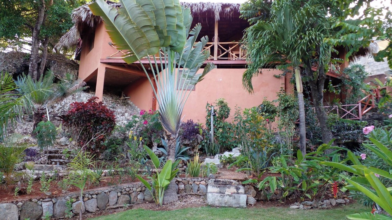 Photo of Outdoor in Las Galeras