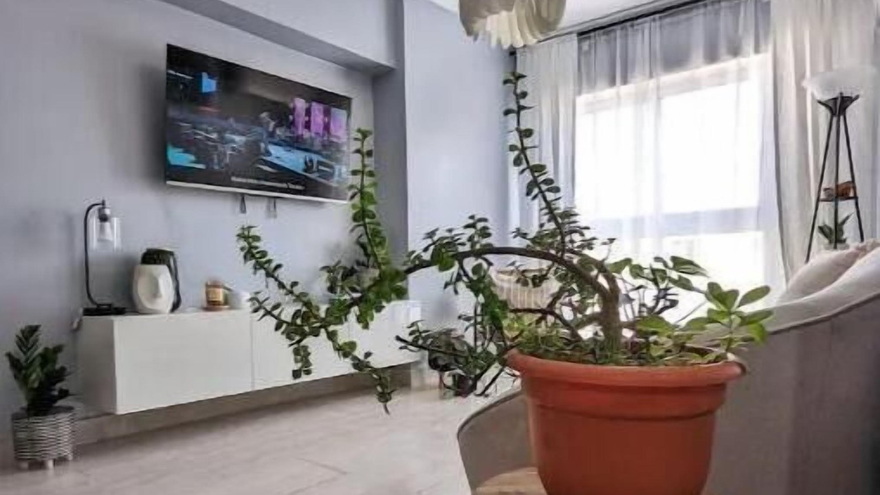 Photo of Livingroom in Santo Domingo