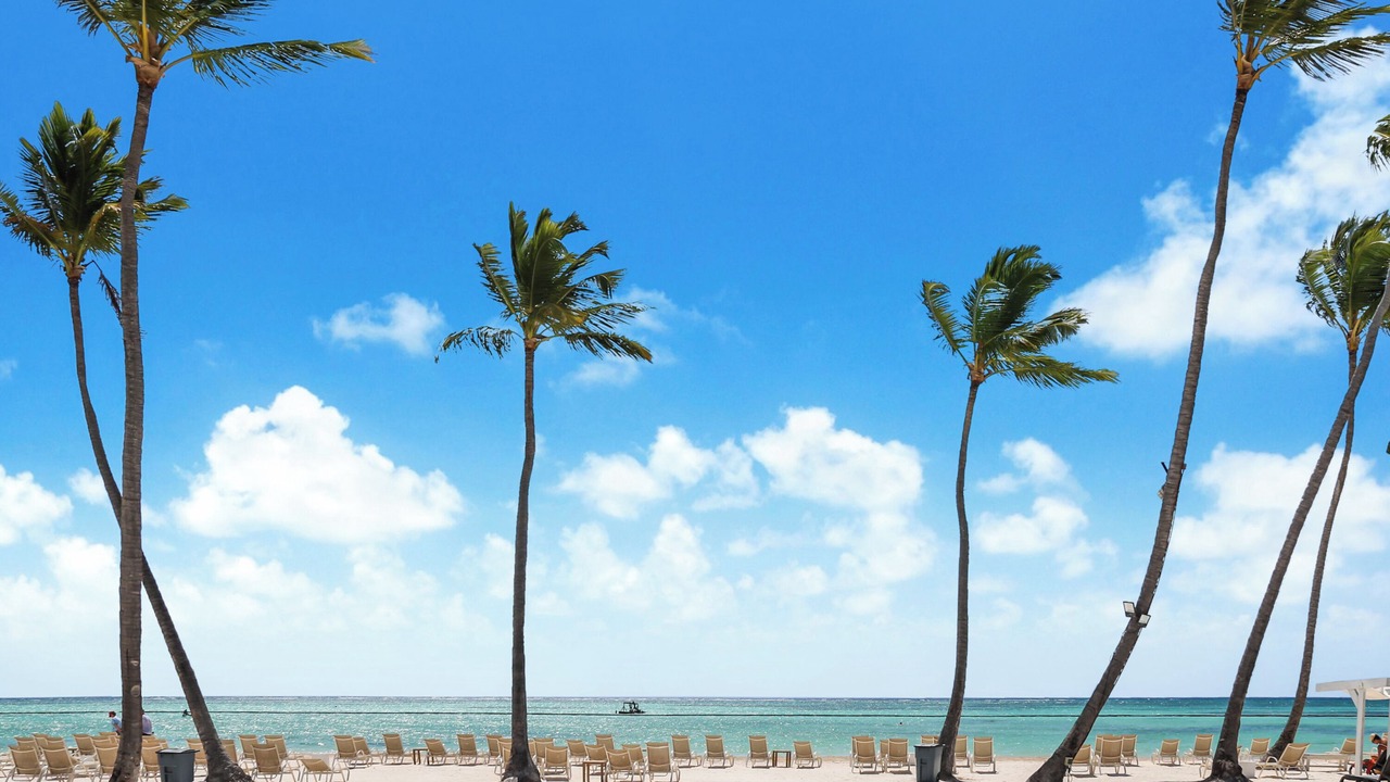 Photo of Others in Cap Cana Marina