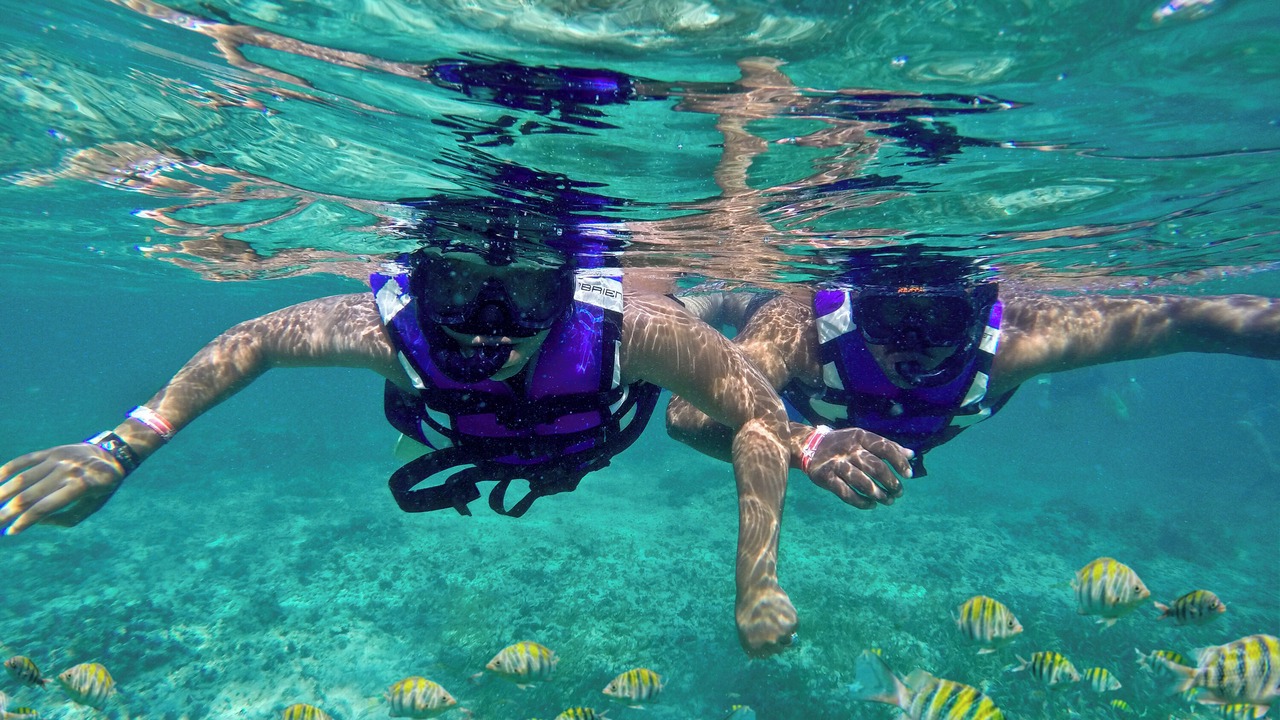 Photo of Others in Cap Cana Marina