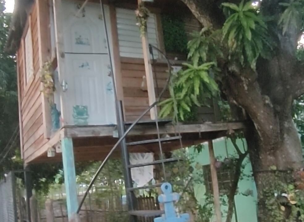Photo of Outdoor in Luperon