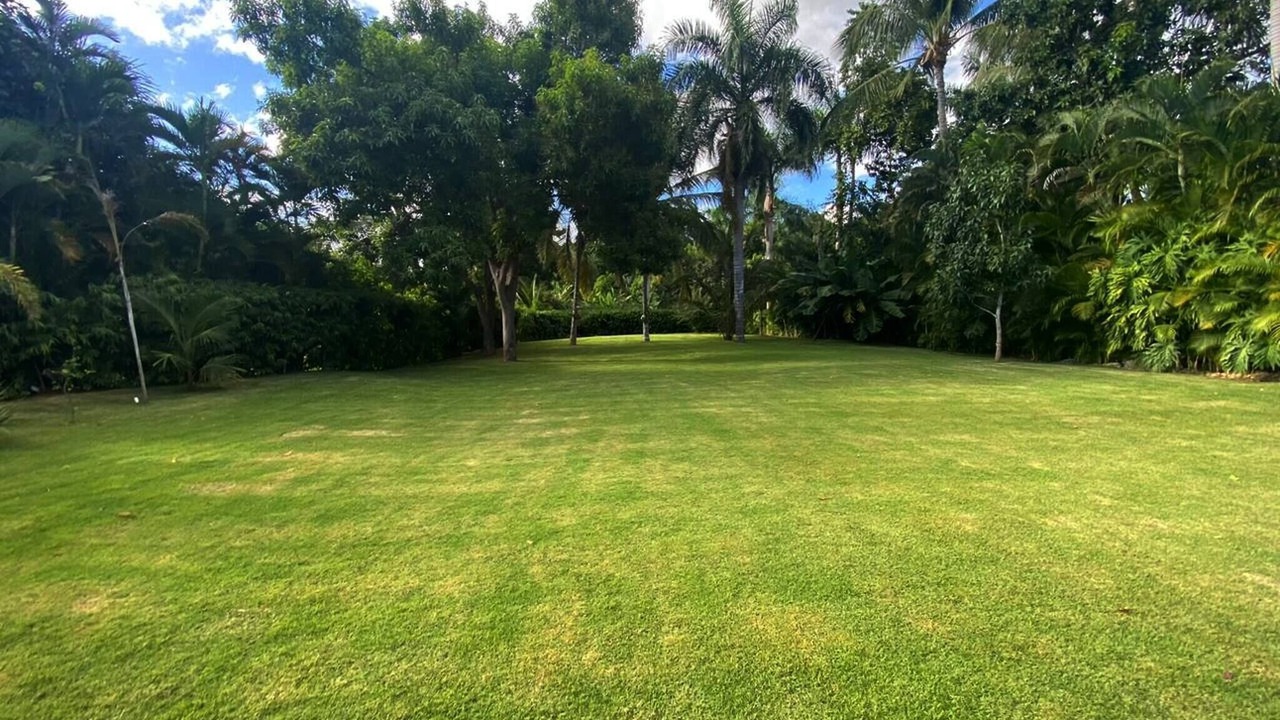 Photo of Outdoor in Los Lagos