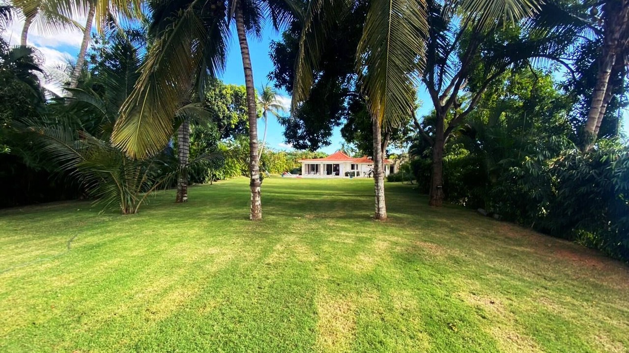 Photo of Outdoor in Los Lagos