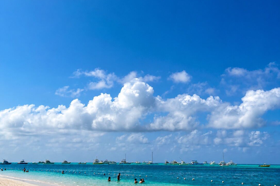 Photo of Others in Playa Bibijagua
