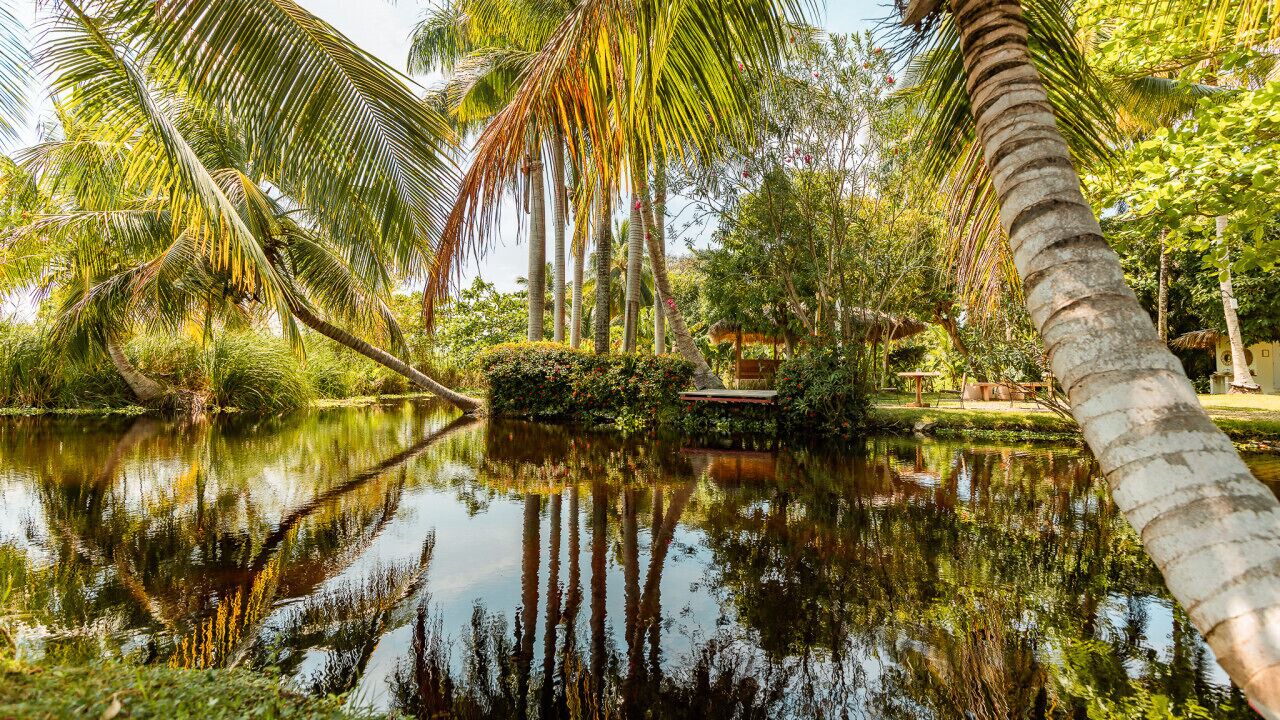 Photo of Outdoor in Cabarete