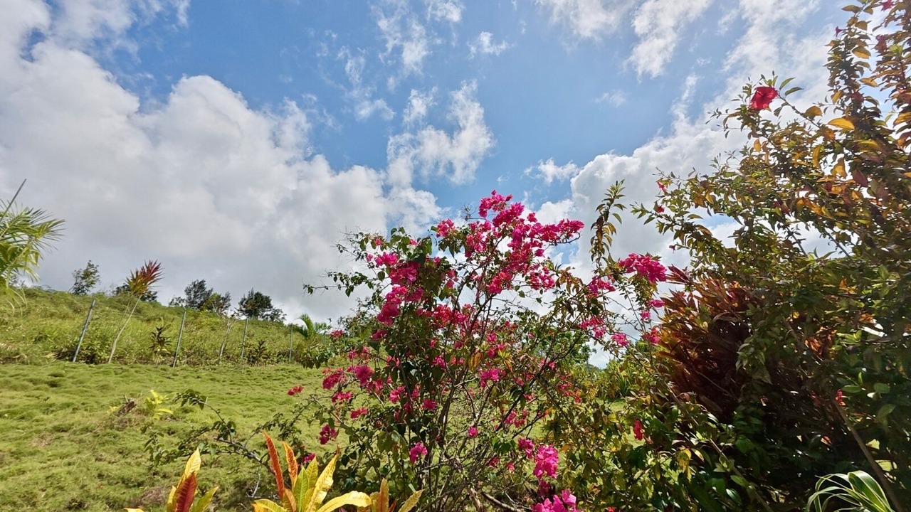 Photo of Others in Las Terrenas