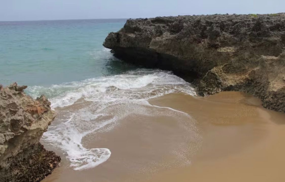 Photo of Others in Playa Chiquita