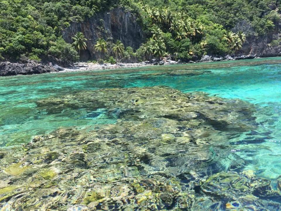 Photo of Others in Las Galeras