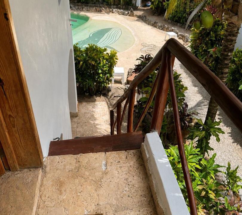 Photo of Others in Las Galeras
