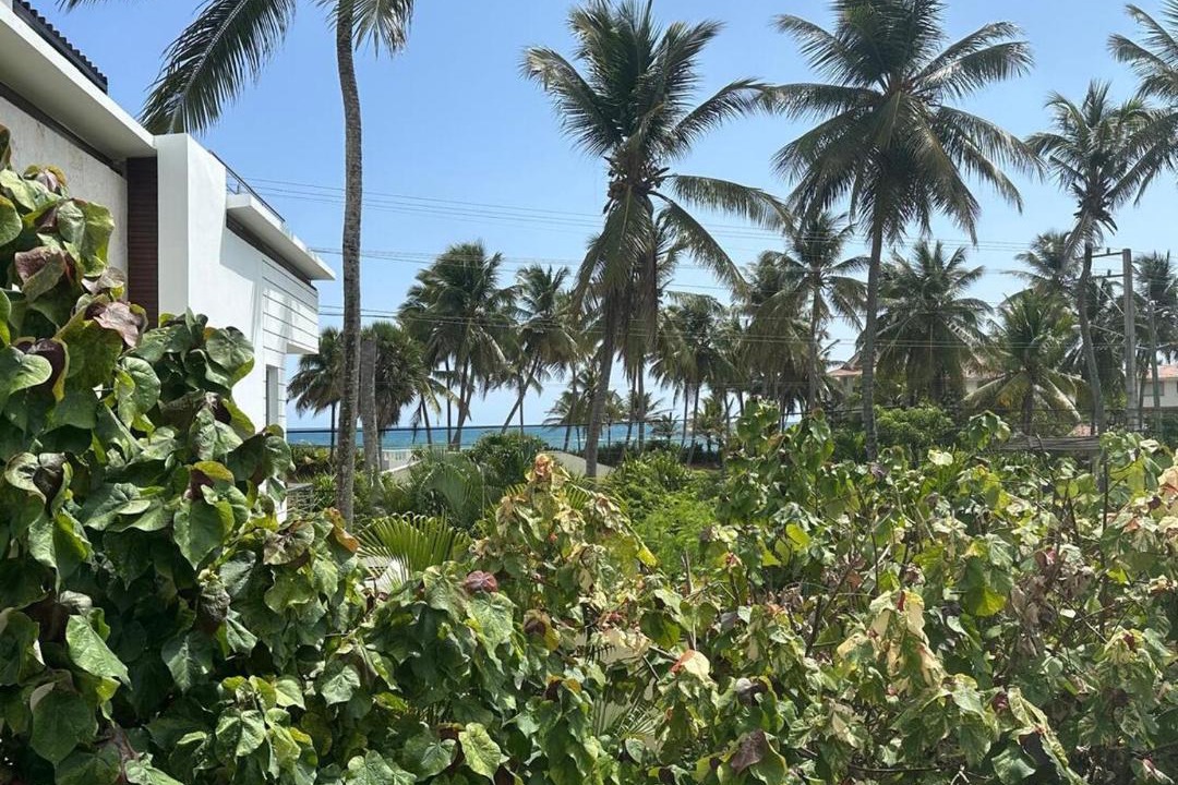 Photo of Others in Cabarete