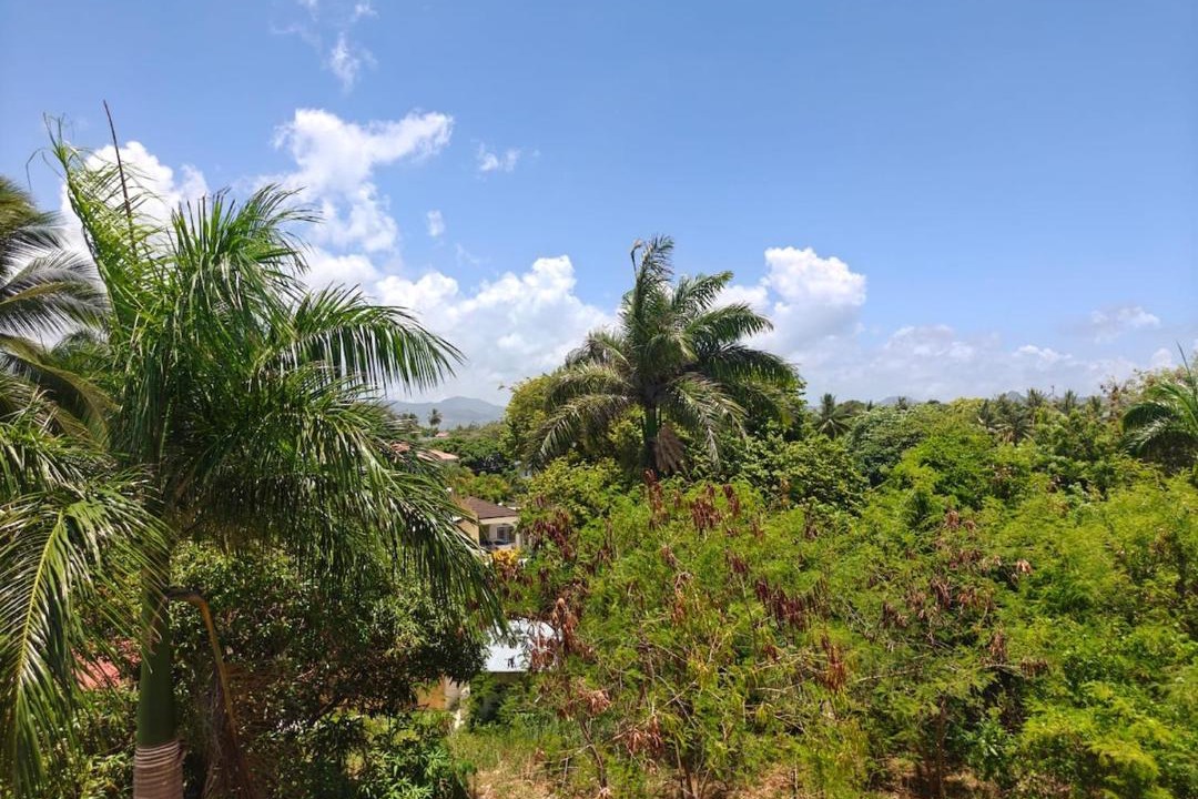 Photo of Others in Villa Isabela