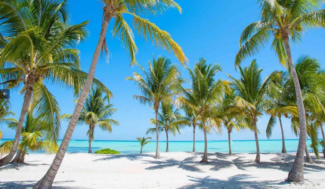 Photo of Others in Bavaro
