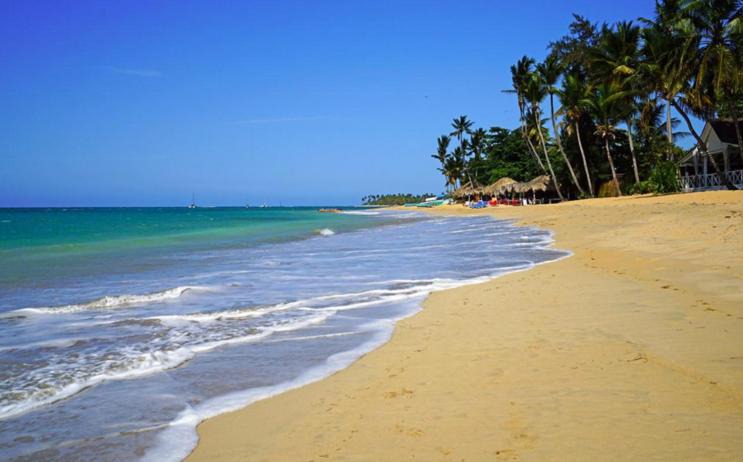 Photo of Others in Bavaro
