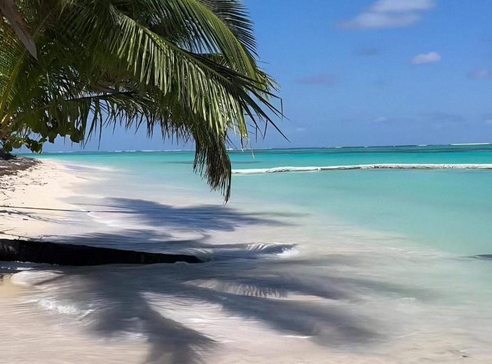 Photo of Others in Bavaro