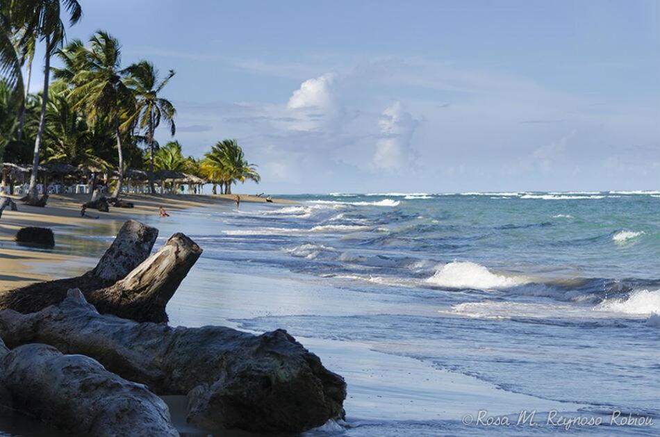 Photo of Others in Nagua