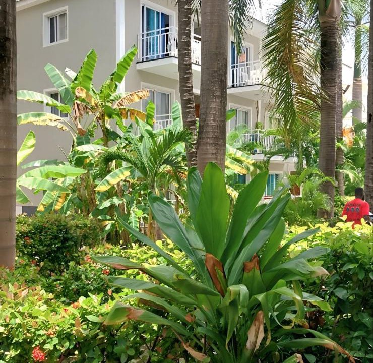 Photo of Others in Bavaro