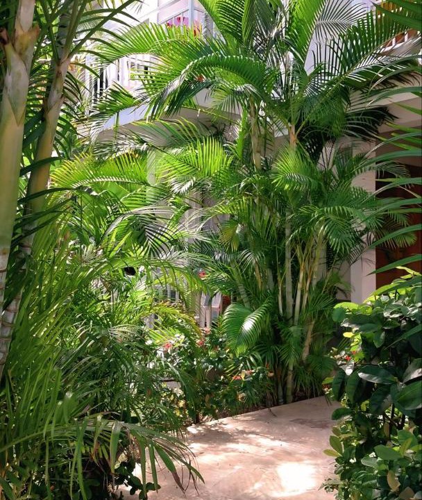 Photo of Others in Bavaro