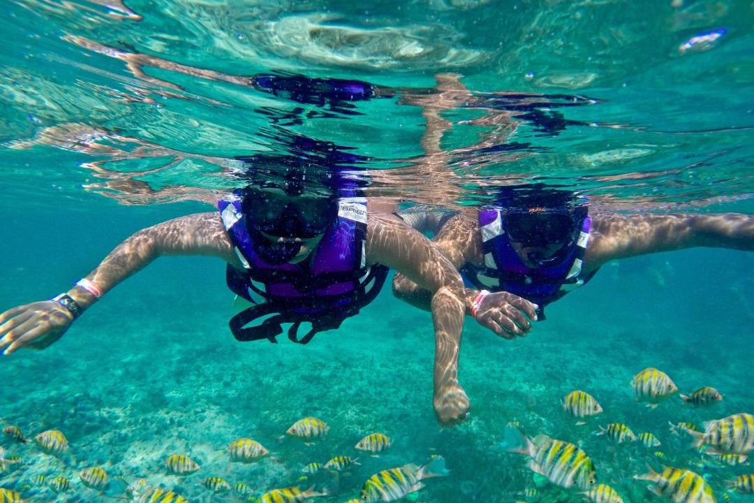 Photo of Others in Cap Cana Marina