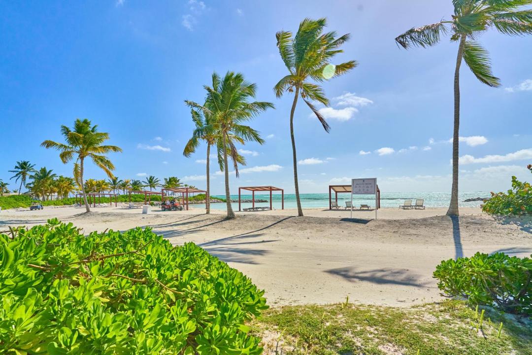 Photo of Others in Cap Cana Marina