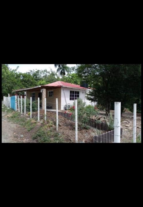 Photo of Others in Imbert