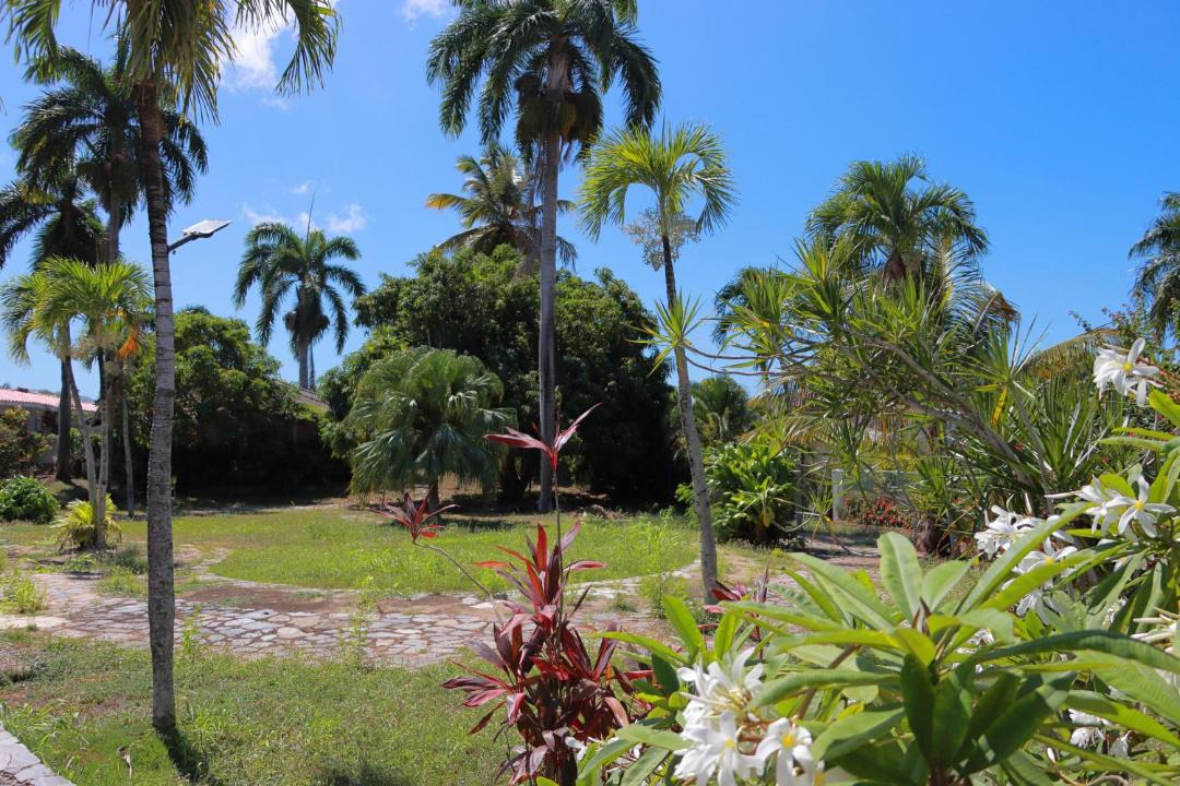 Photo of Others in Las Galeras