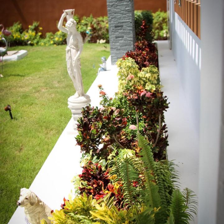 Photo of Others in Guayubin