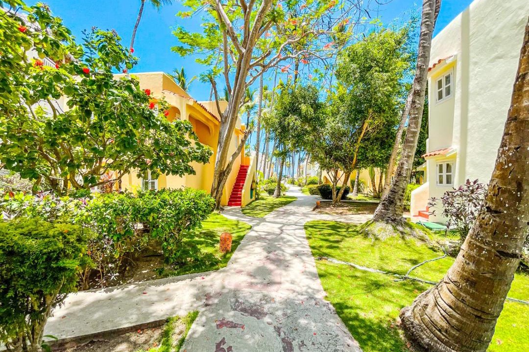 Photo of Others in Bavaro