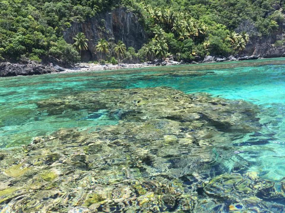Photo of Others in Las Galeras