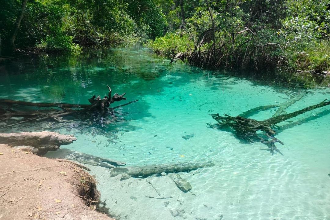 Photo of Others in Las Galeras