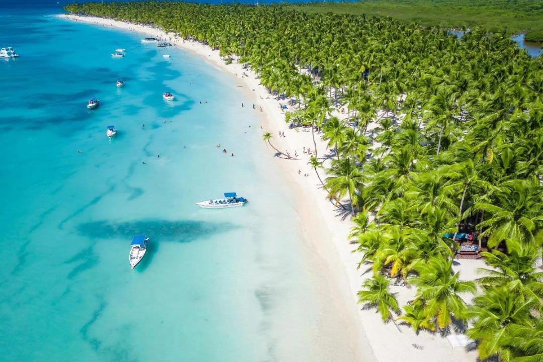 Photo of Others in Bavaro
