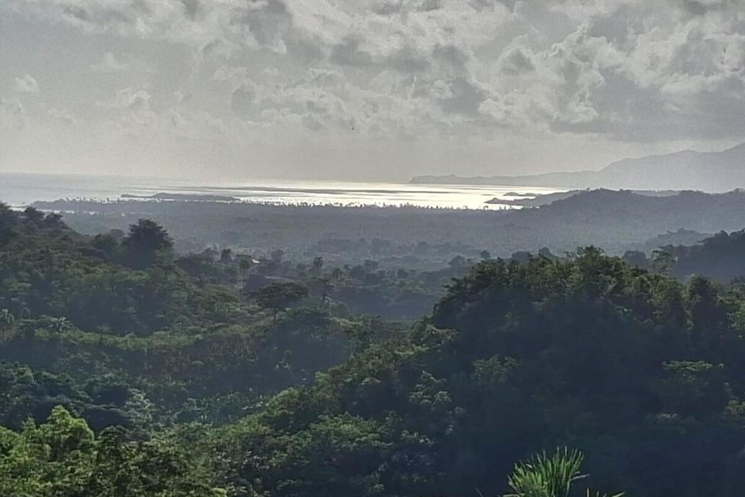 Photo of Others in Las Terrenas