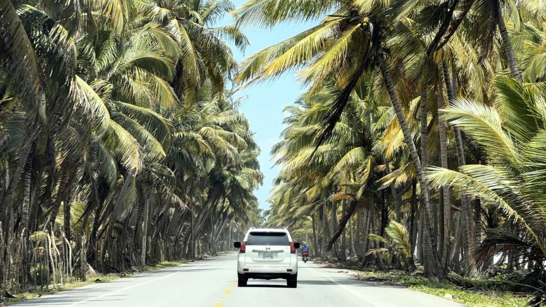 Photo of Others in Nagua