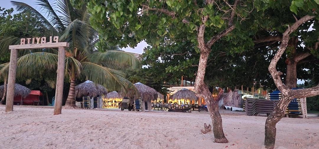 Photo of Others in Las Galeras
