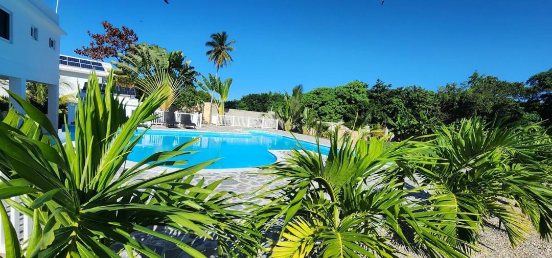 Photo of Others in Las Galeras
