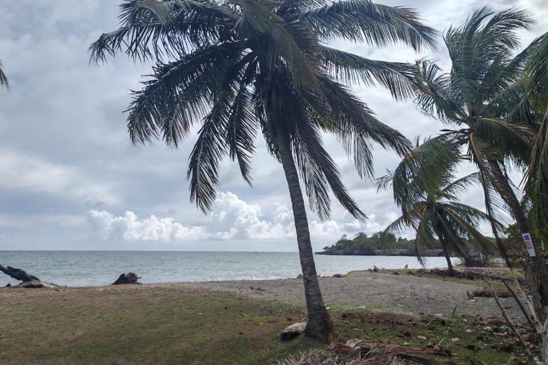 Photo of Others in San Pedro de Macoris