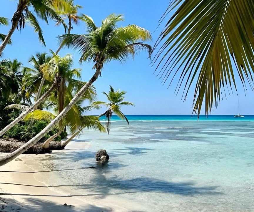 Photo of Others in Bavaro