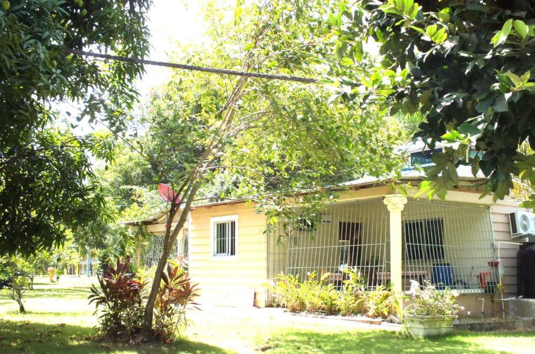Photo of Others in Nagua