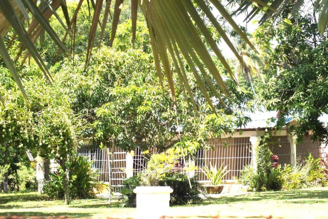 Photo of Others in Nagua