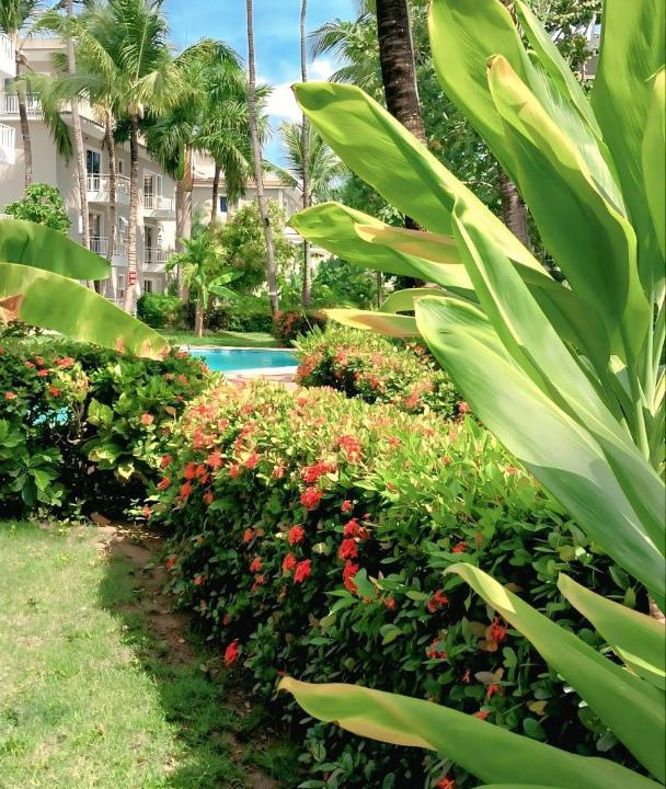 Photo of Others in Bavaro