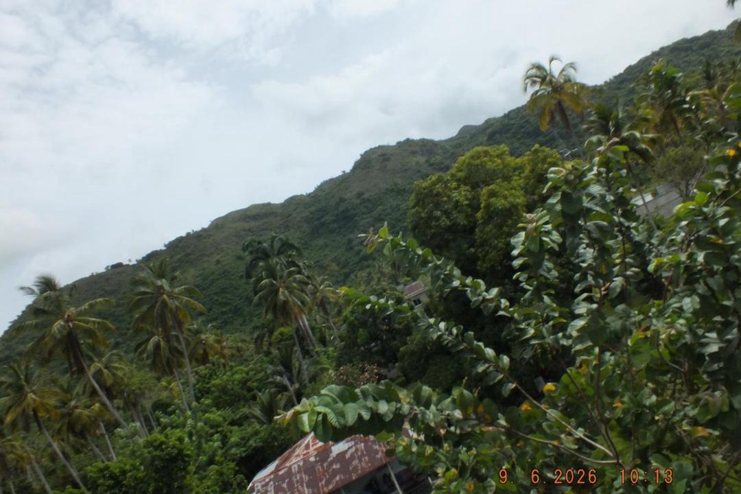 Photo of Others in Sanchez