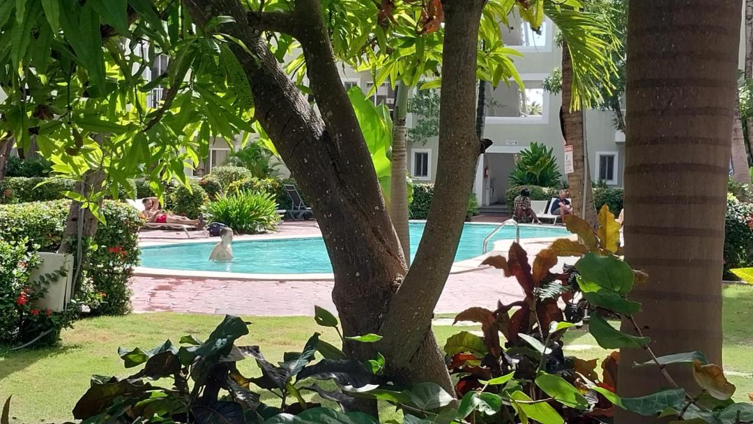 Photo of Others in Bavaro