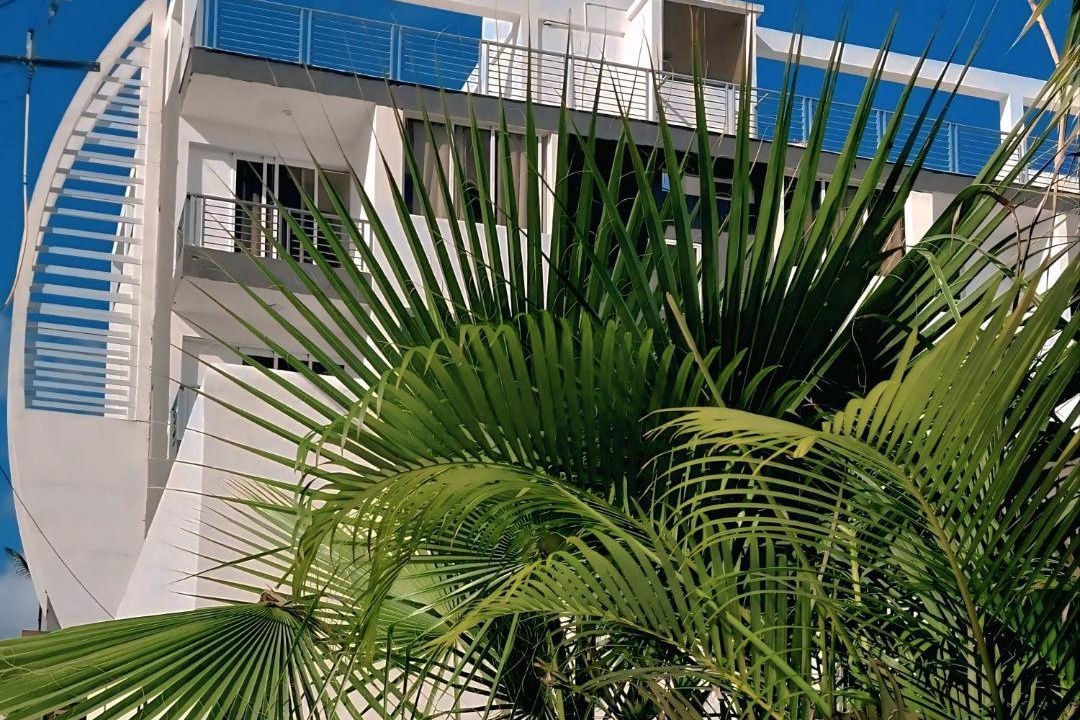 Photo of Others in Bavaro