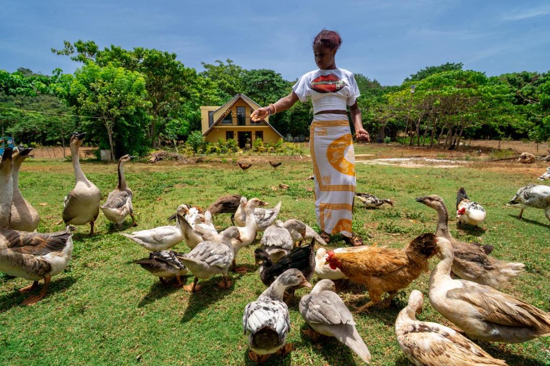 Photo of Others in Las Galeras