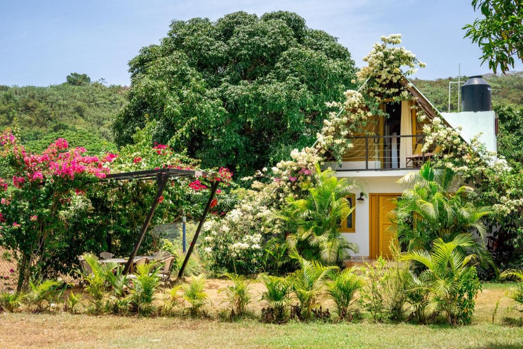 Photo of Others in Las Galeras