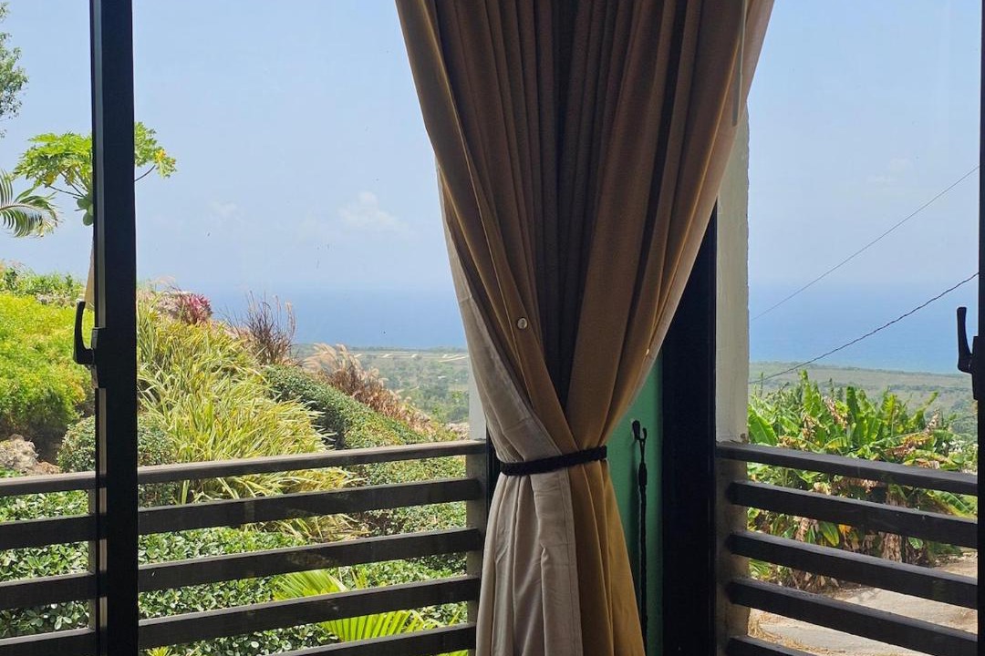 Photo of Others in Cabrera