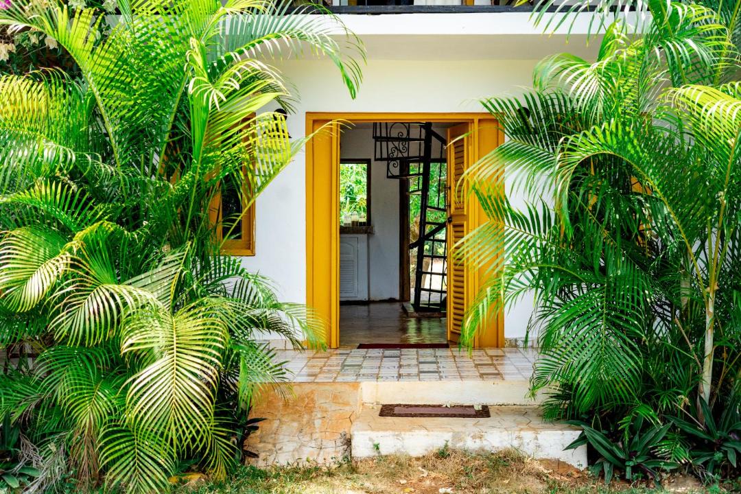 Photo of Others in Las Galeras