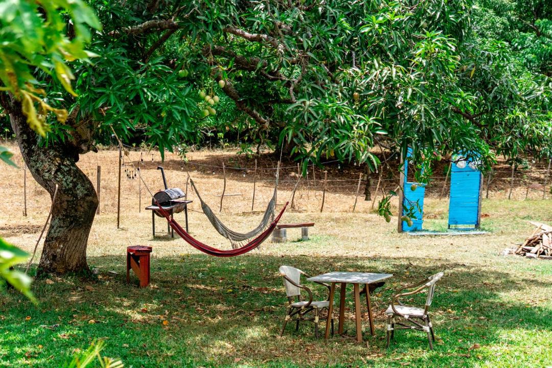 Photo of Others in Las Galeras
