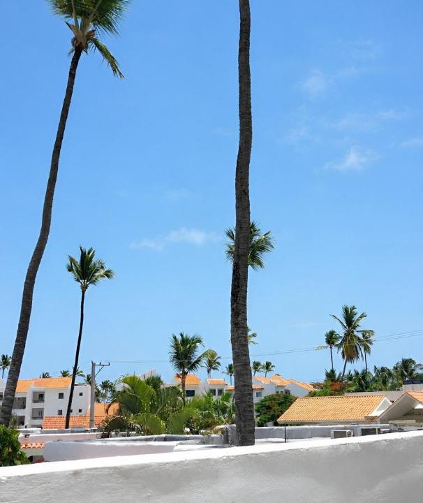 Photo of Others in Bavaro