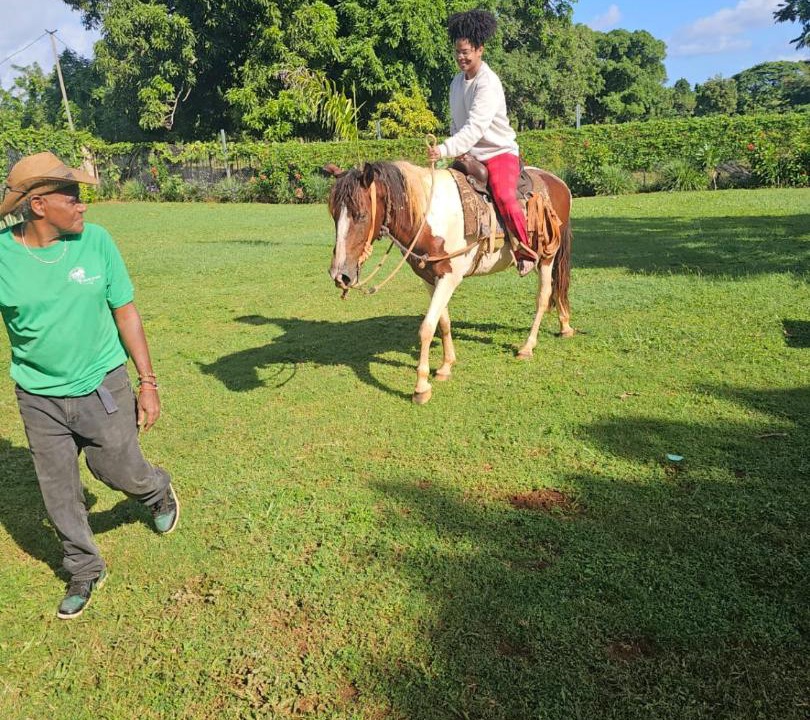 Photo of Others in Las Galeras