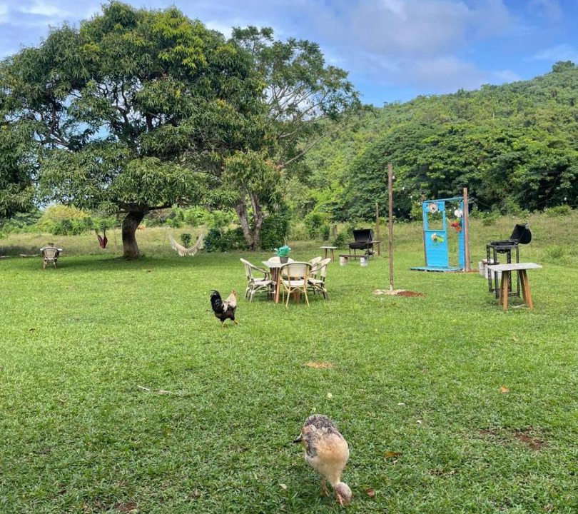 Photo of Others in Las Galeras